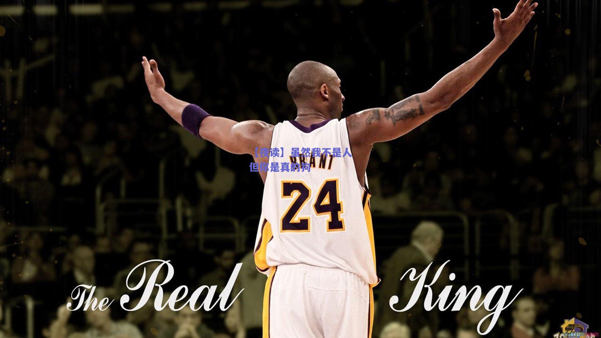 【夜读】虽然我不是人但你是真的狗